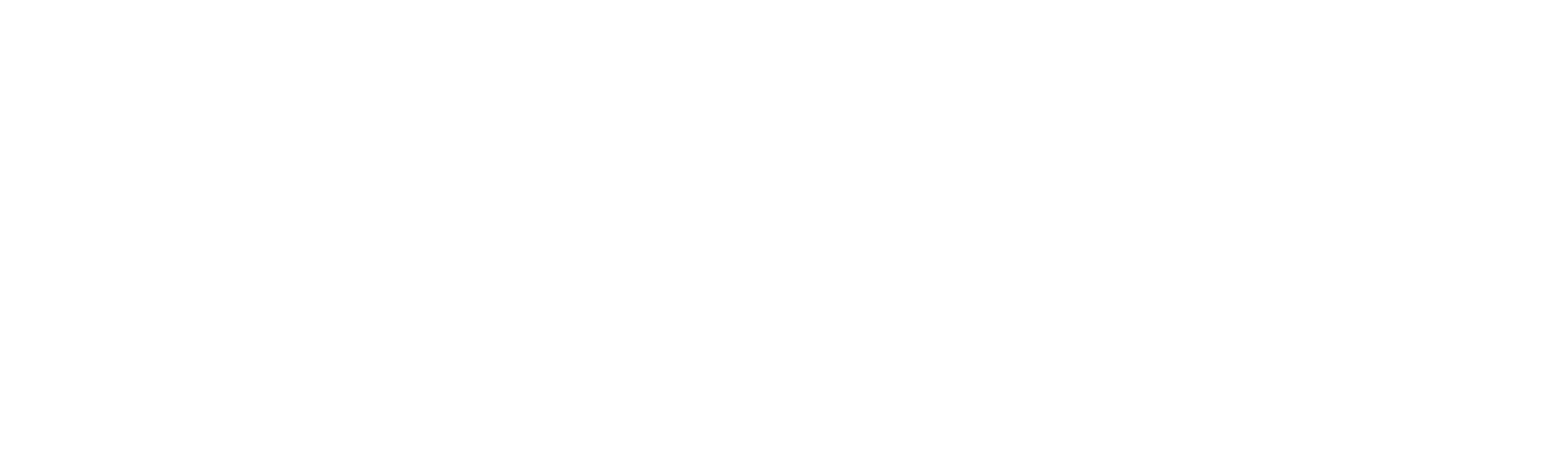 Fizz & Flirt Soda Co